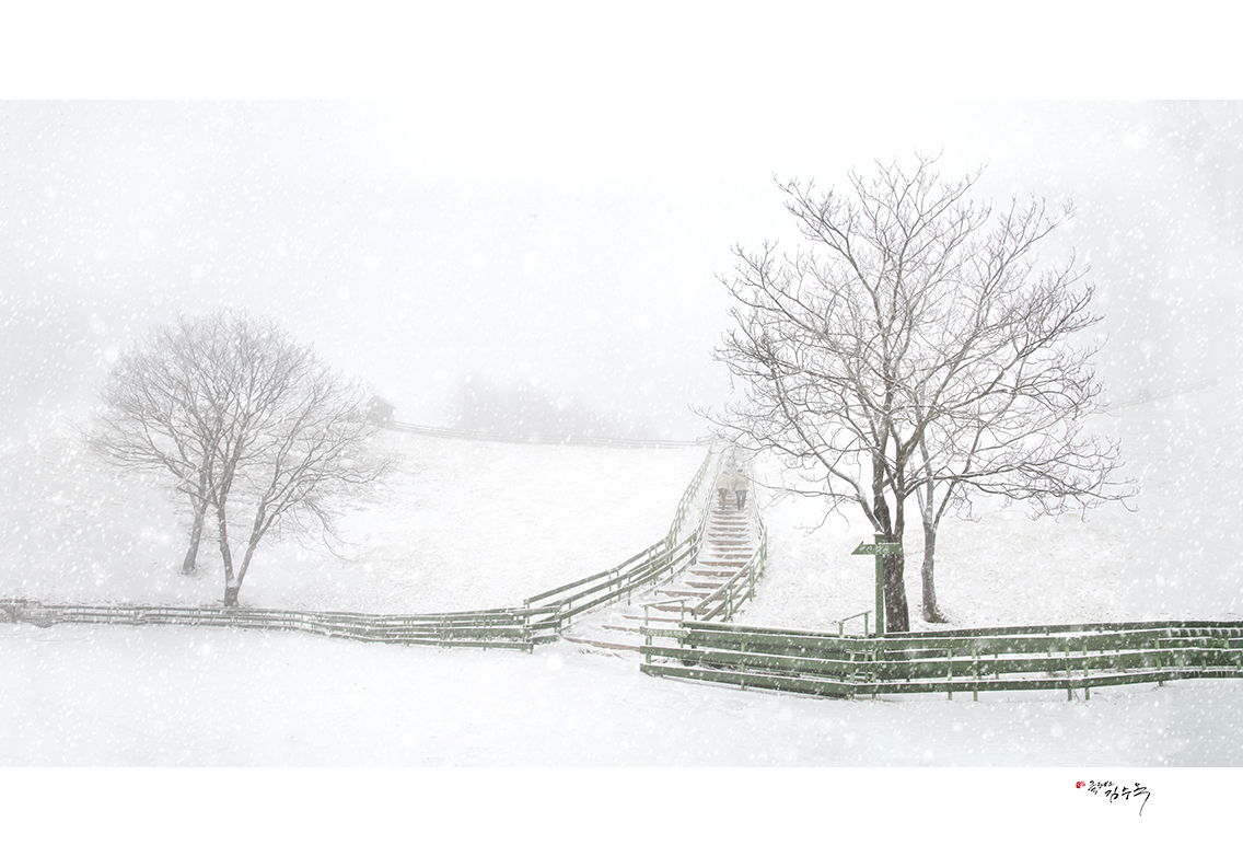 제목 없음_파노라마-2g.jpg