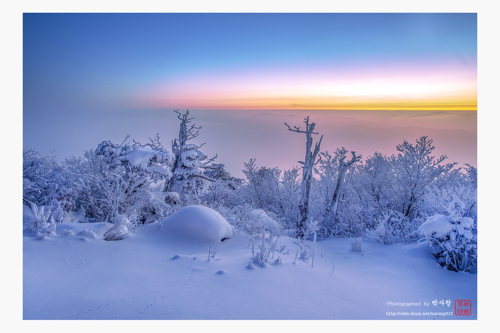 IMG_0416-1c-2r0 - 복사본.jpg