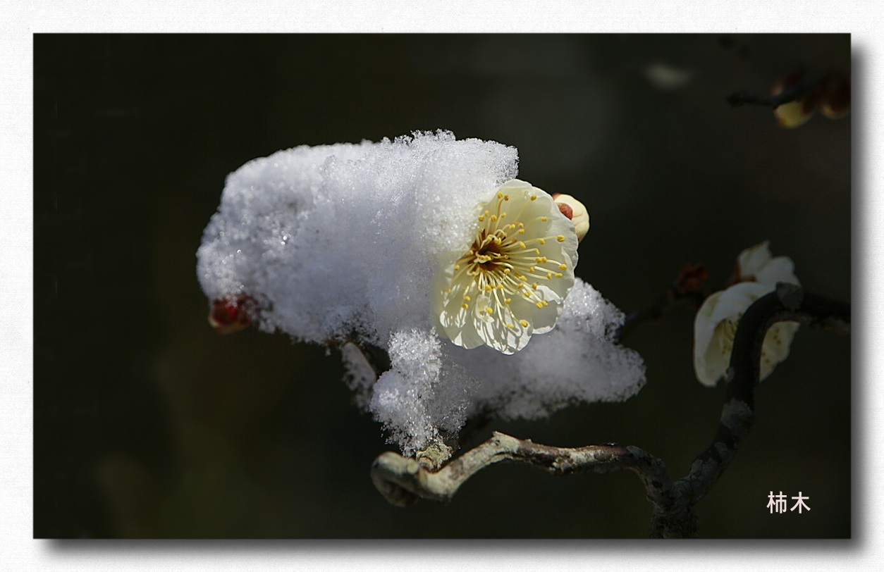 1601682895501 복사 (1).jpg-4455.acdc-445588.jpg