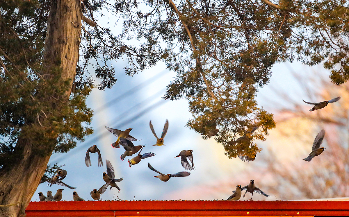 B36I0046-선택 복사.jpg