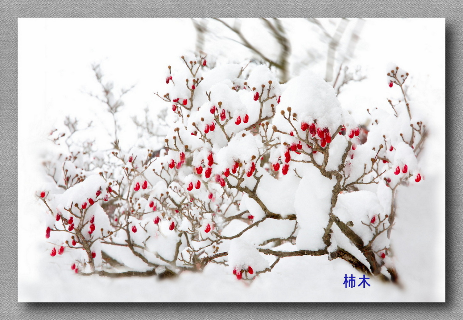 -1501 - Copy - Copy.jpg