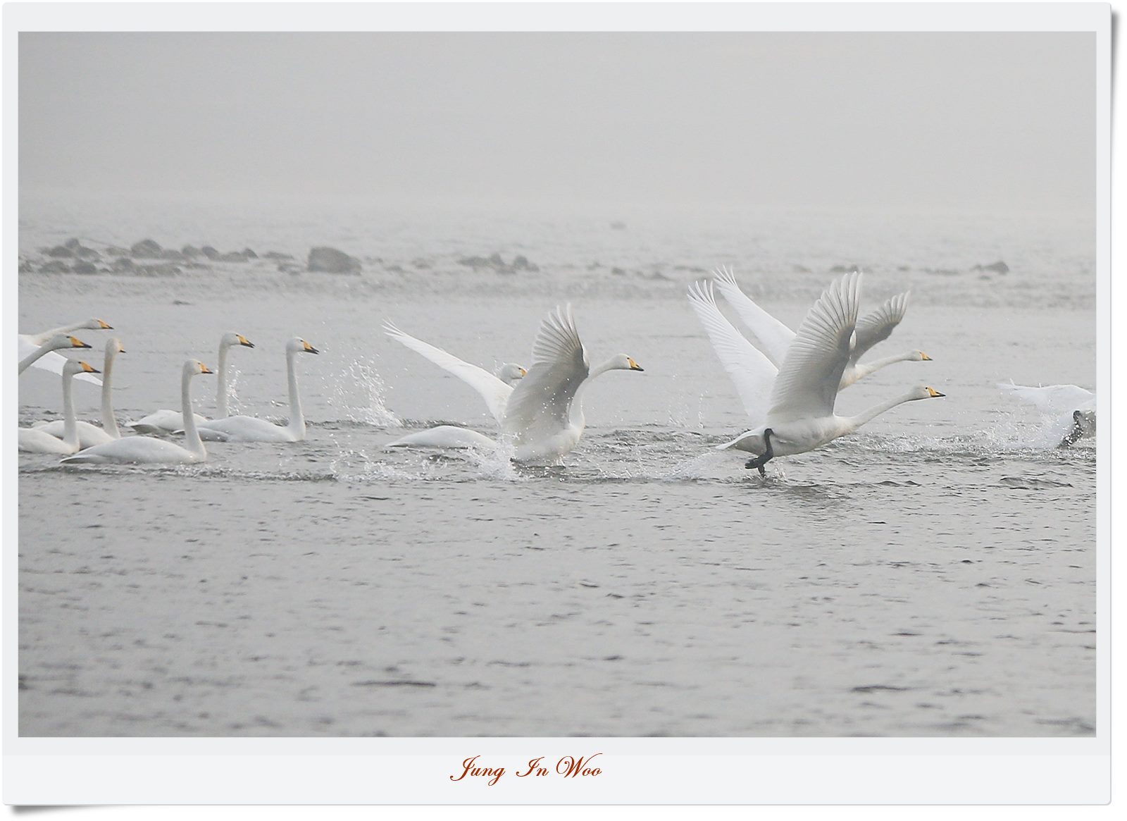 PGIJ0798-1600 - 복사본.JPG