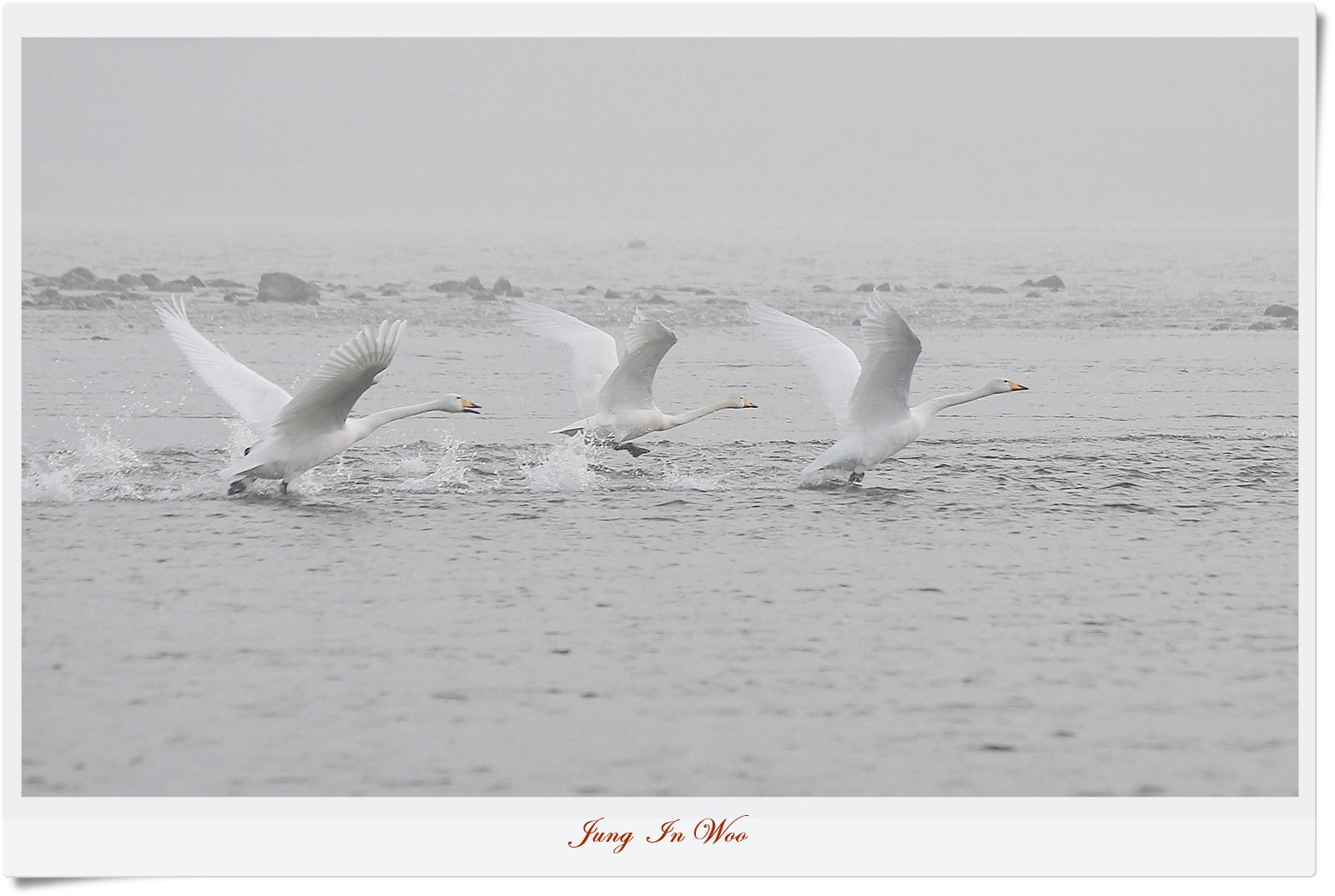 PGIJ0861-1600 - 복사본.JPG