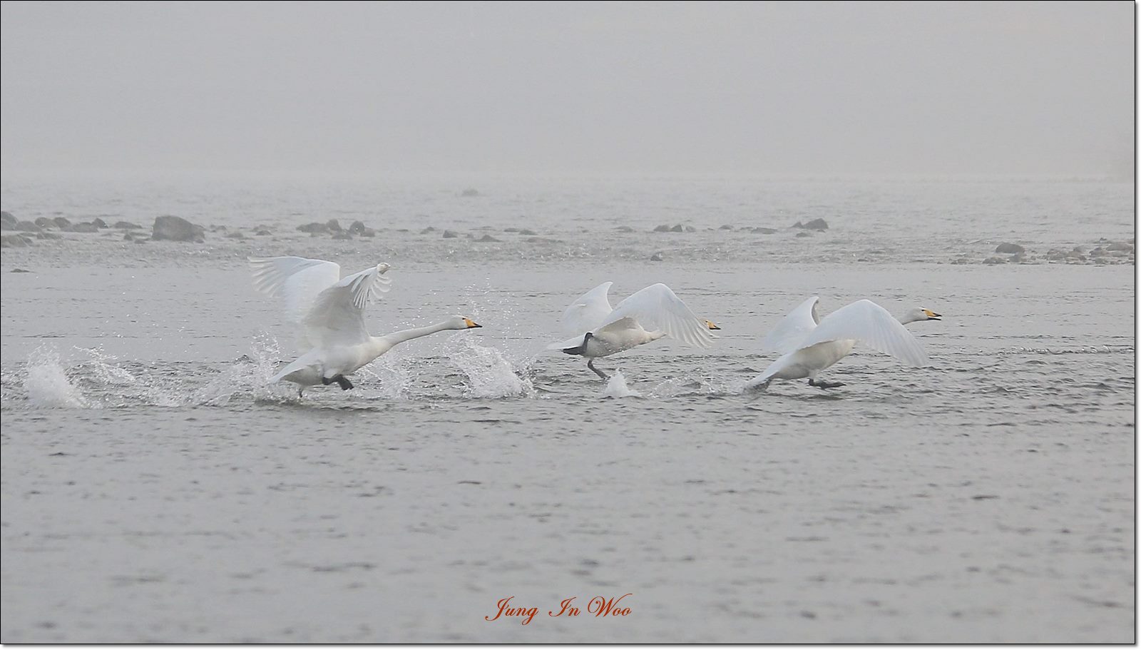 PGIJ0862-1600-1 - 복사본.JPG