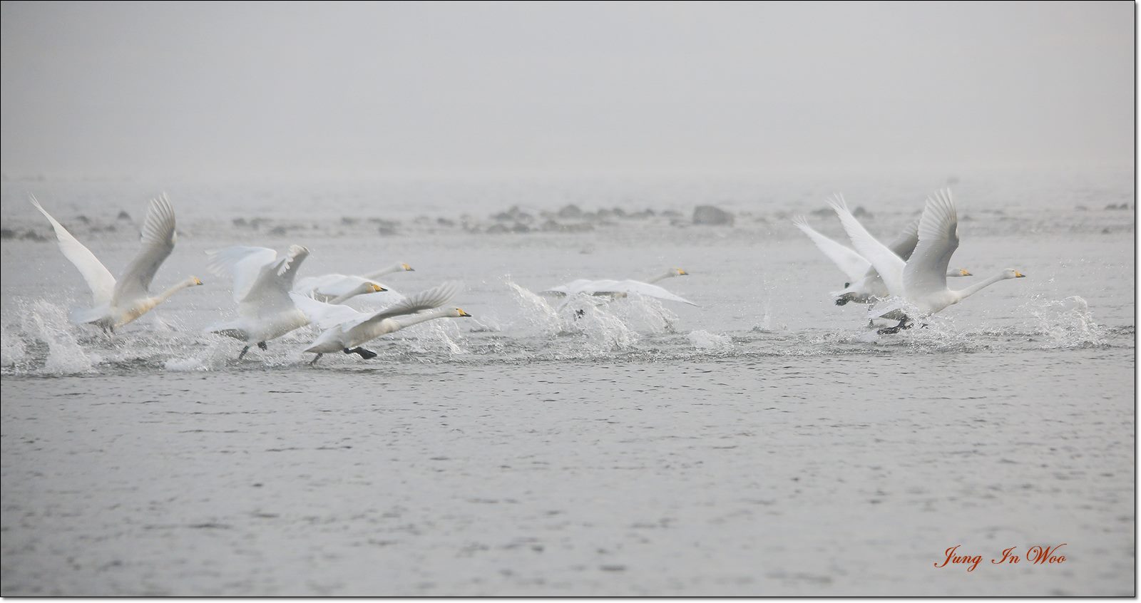 PGIJ0945-1600-1 - 복사본.JPG