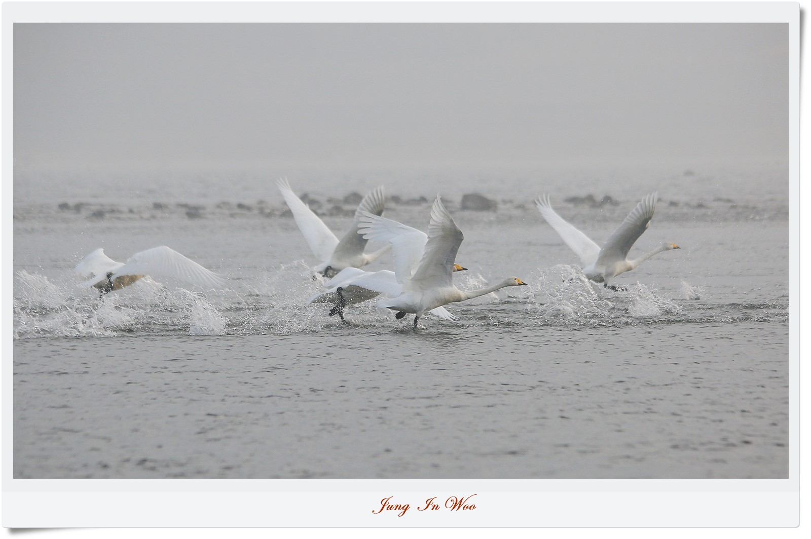 PGIJ0947-1600 - 복사본.JPG