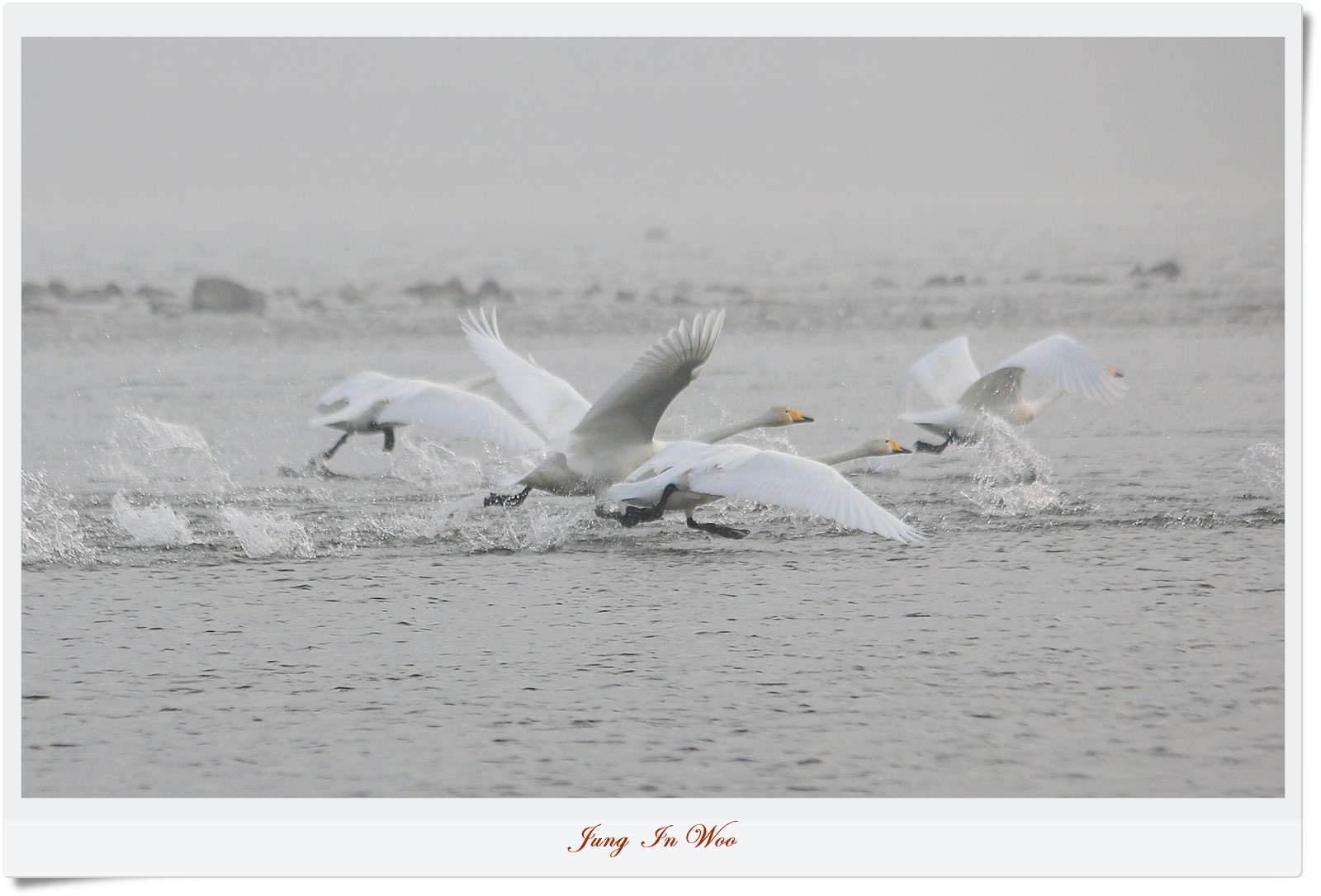 PGIJ0949-1600 - 복사본.JPG