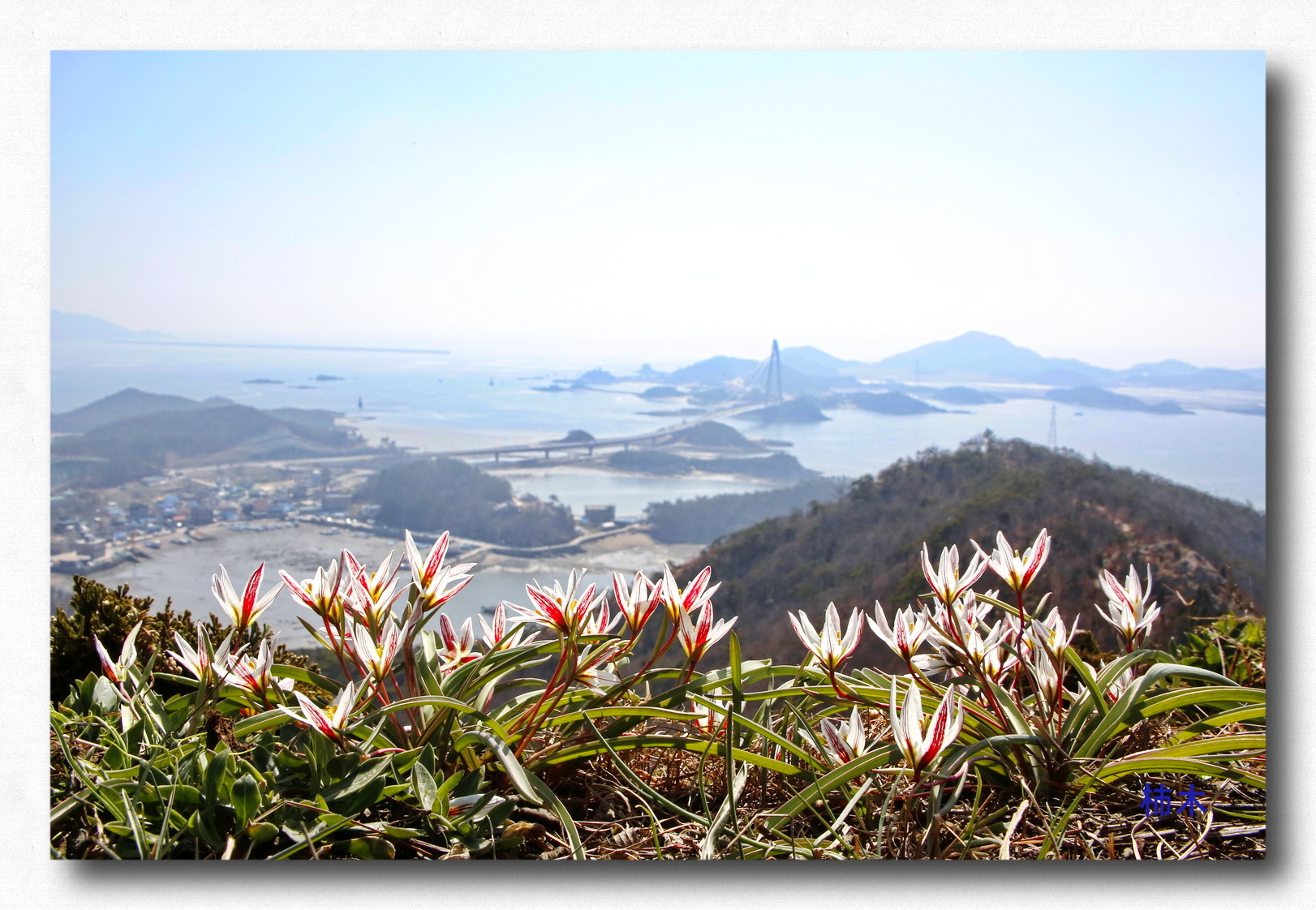 _MG_1223.acdc-335588 - Copy.jpg-33558899[1].jpg