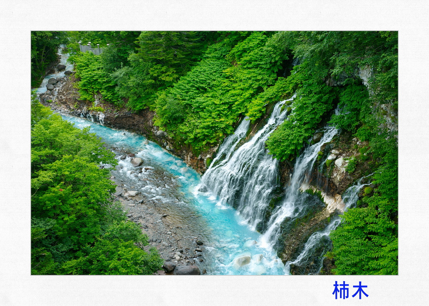 -23 - Copy - Copy.jpg