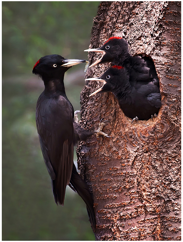 photo  top2-1수정s.jpg