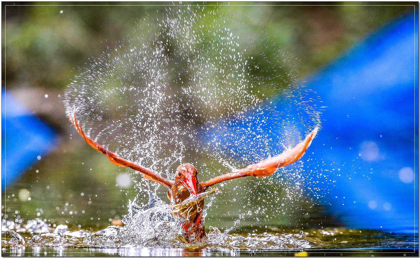 B36I8690 복사-2.jpg