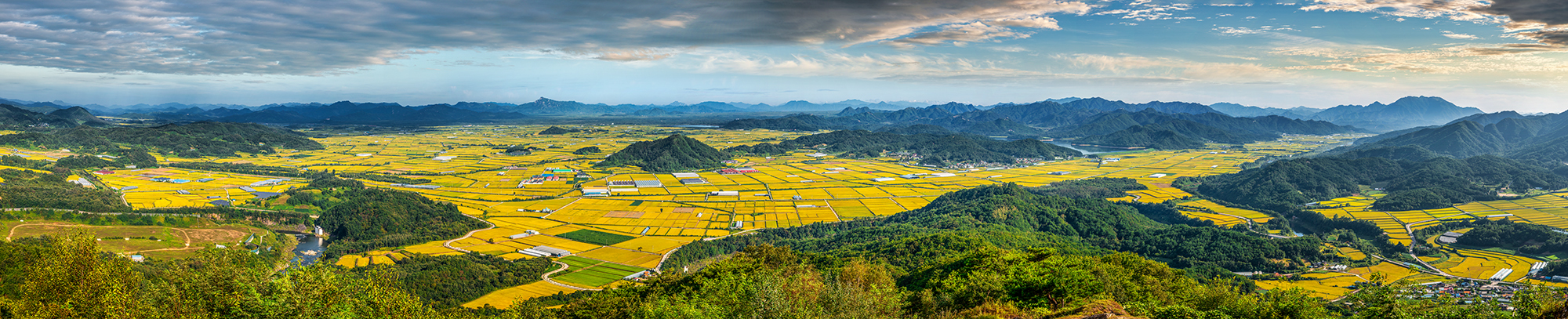 이미지-DSC_8681-86-736-1-0-루-1-2.jpg