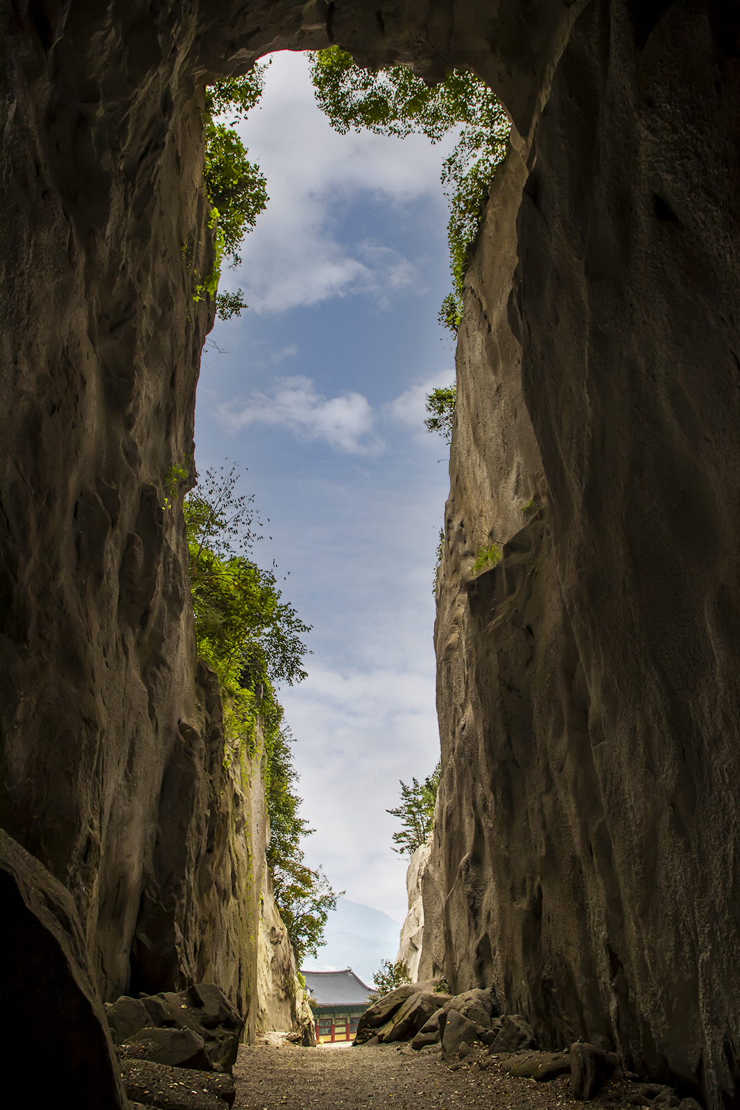 IMG_4172 복사c.jpg