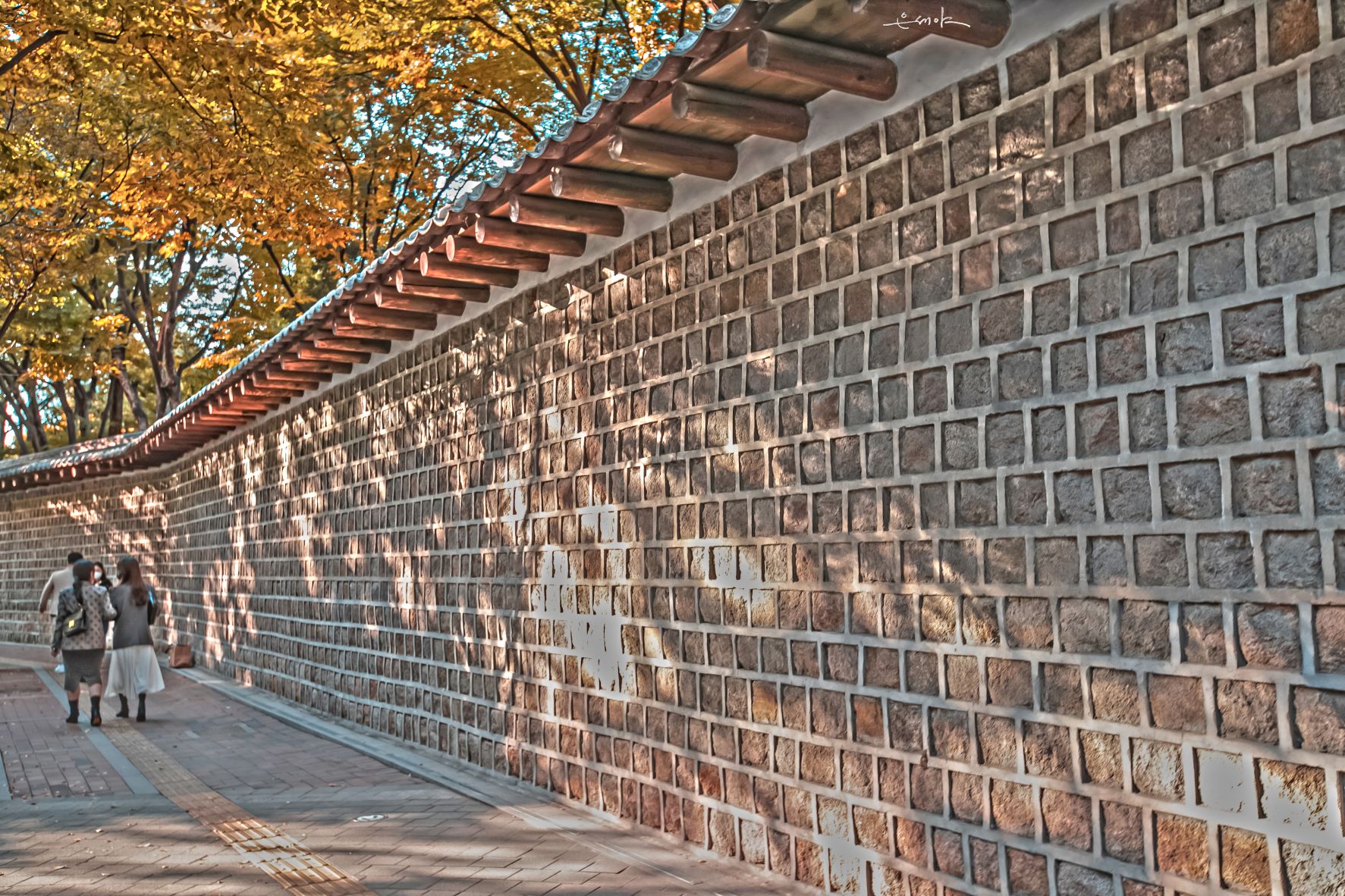 IMG_7185.........................덕수궁 돌담길sp...........q.jpg