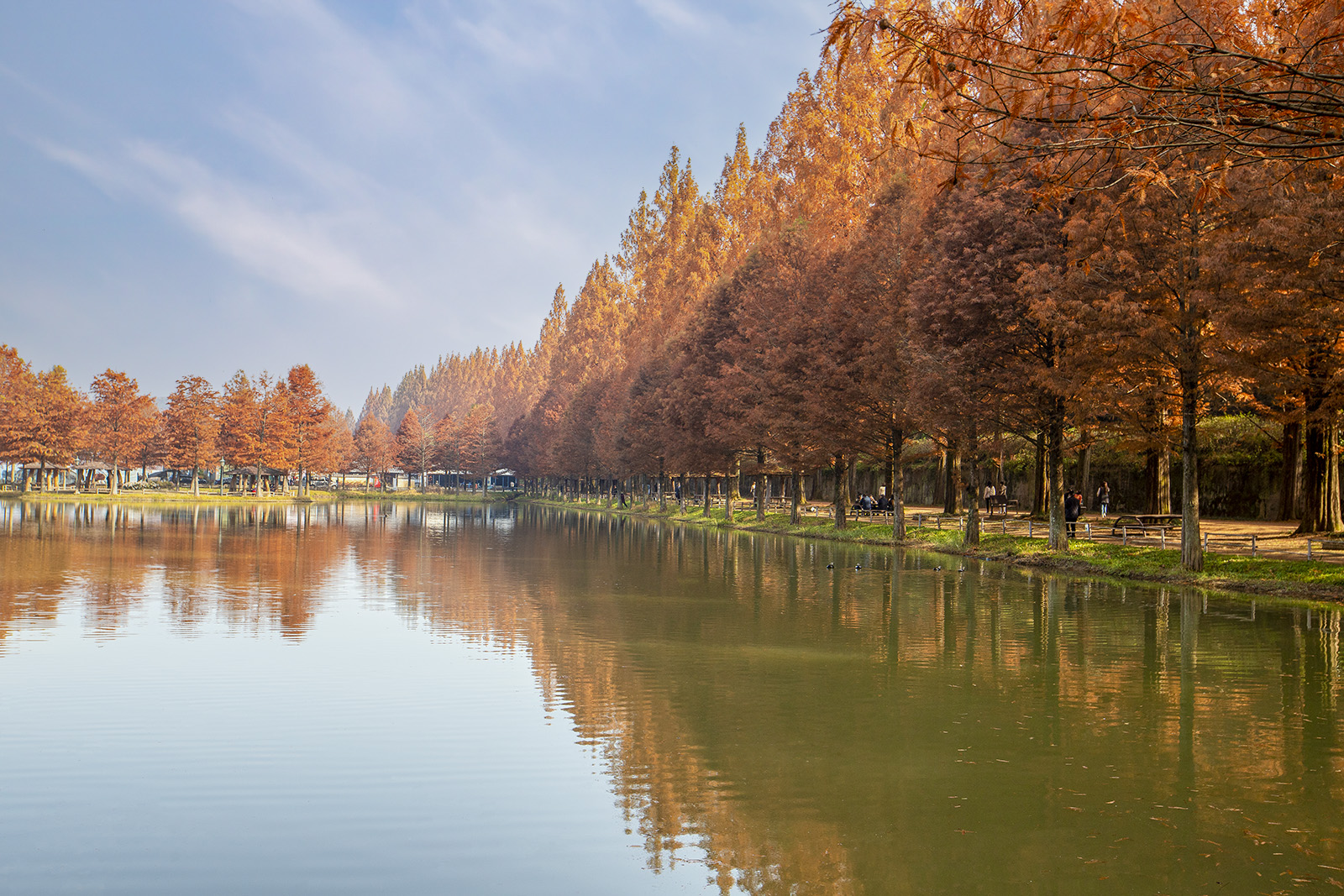 IMG_9327c 복사c.jpg