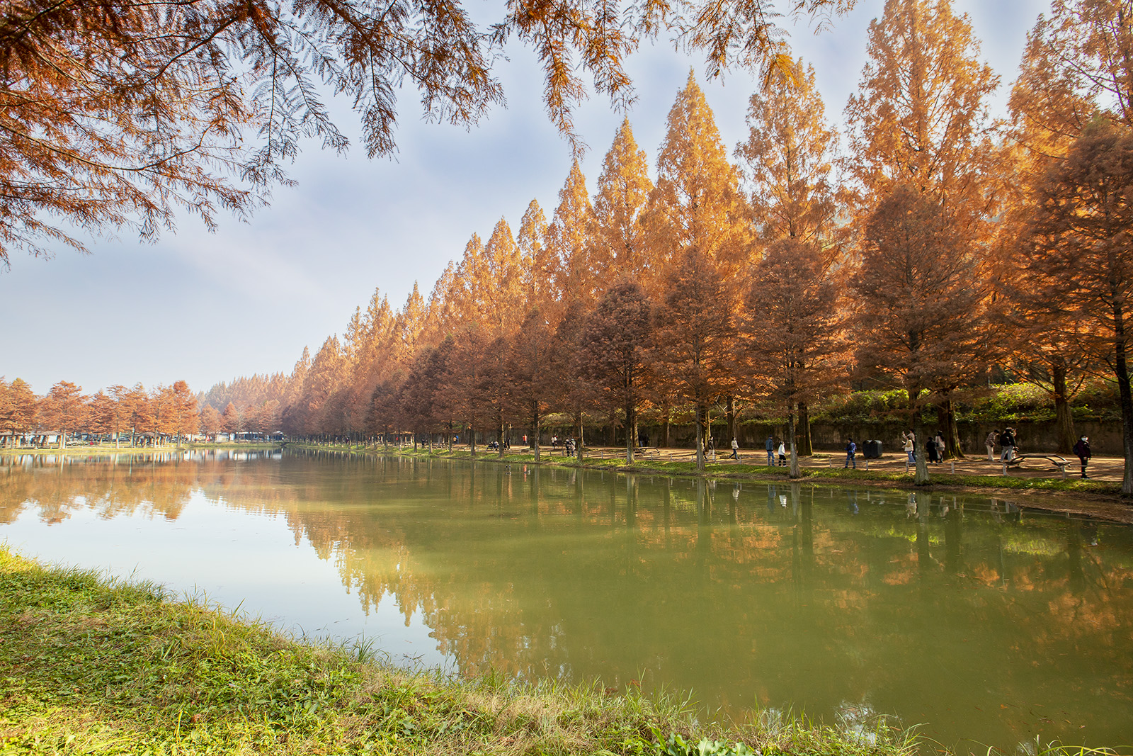 IMG_9331c 복사c.jpg