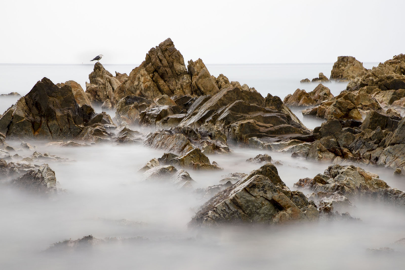 제목 없음-1cc.jpg