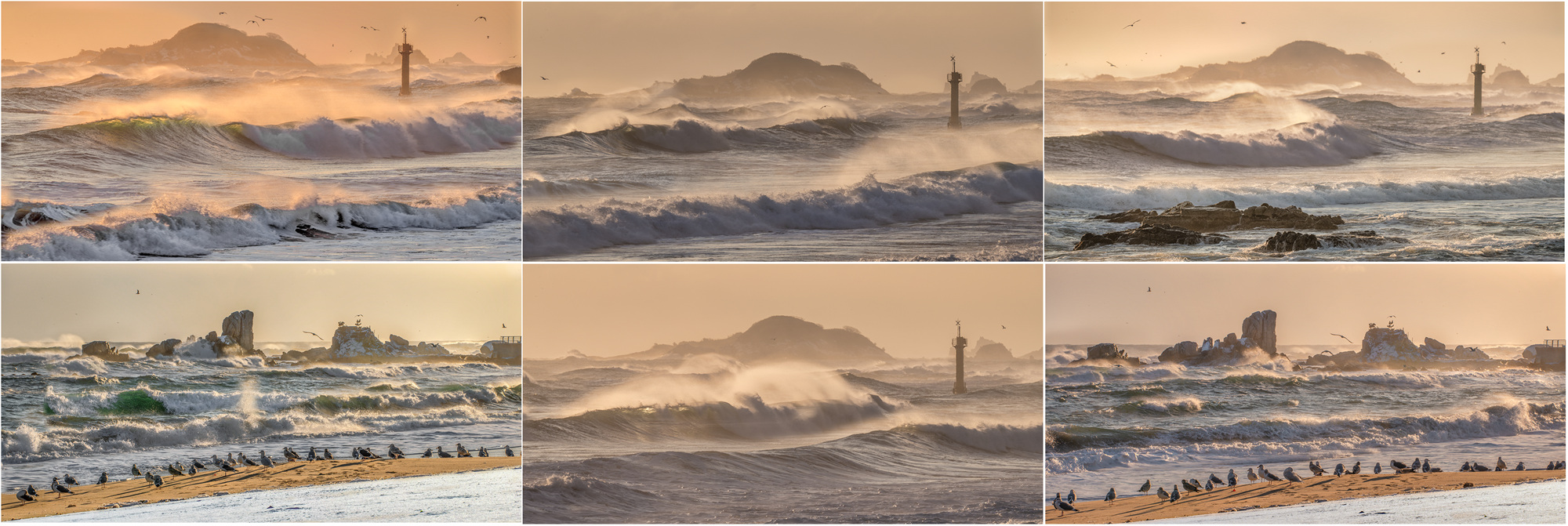 옵바위 파도-1-2.jpg