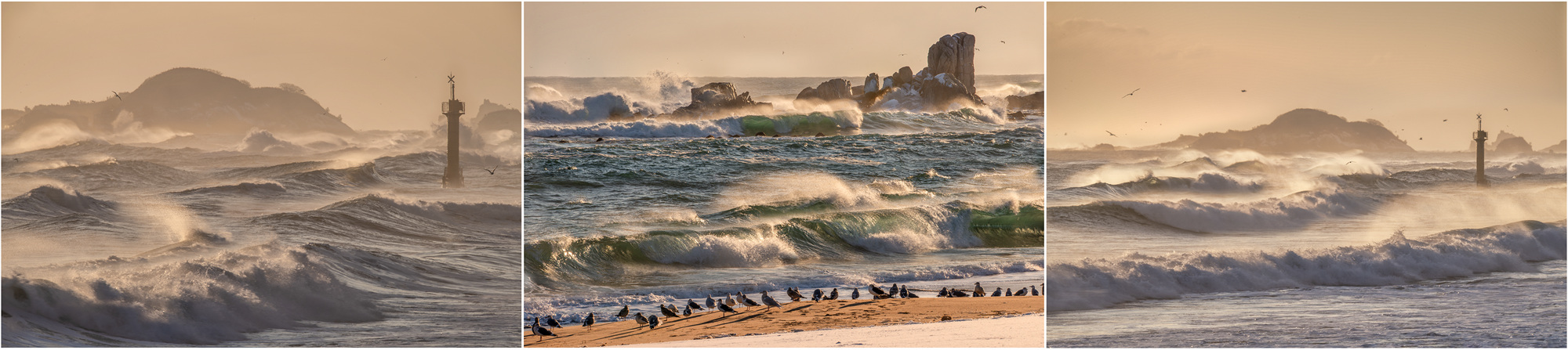 옵바위 파도-1.jpg