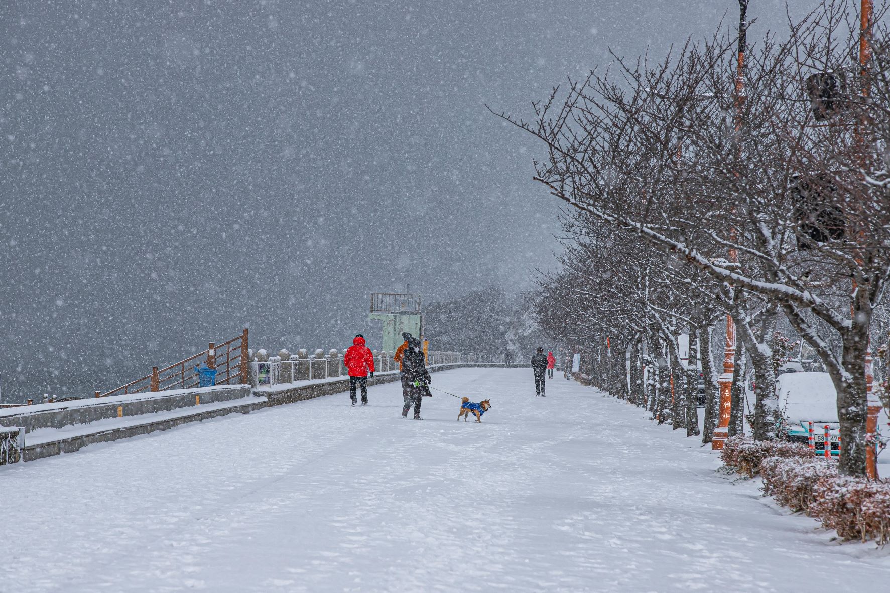 IMG_0927..................눈오는 아침sp.jpg