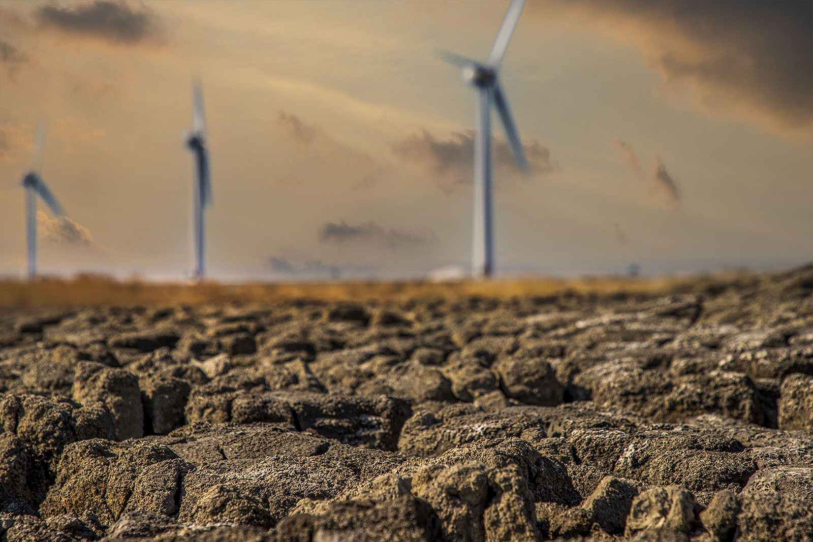 IMG_9676 복사c.jpg