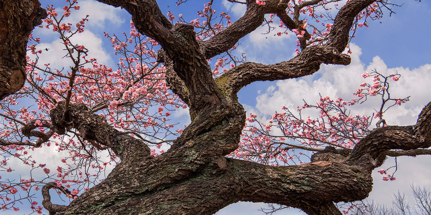 이미지-0-DSC_4393-00-95-94-98-0-1-루-1-2 - 복사본.jpg