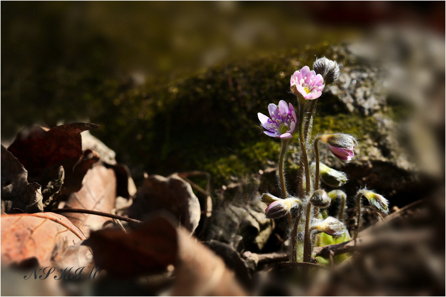 -21 - Copy.acdc-21 - Copy - Copy.jpg-22.jpg