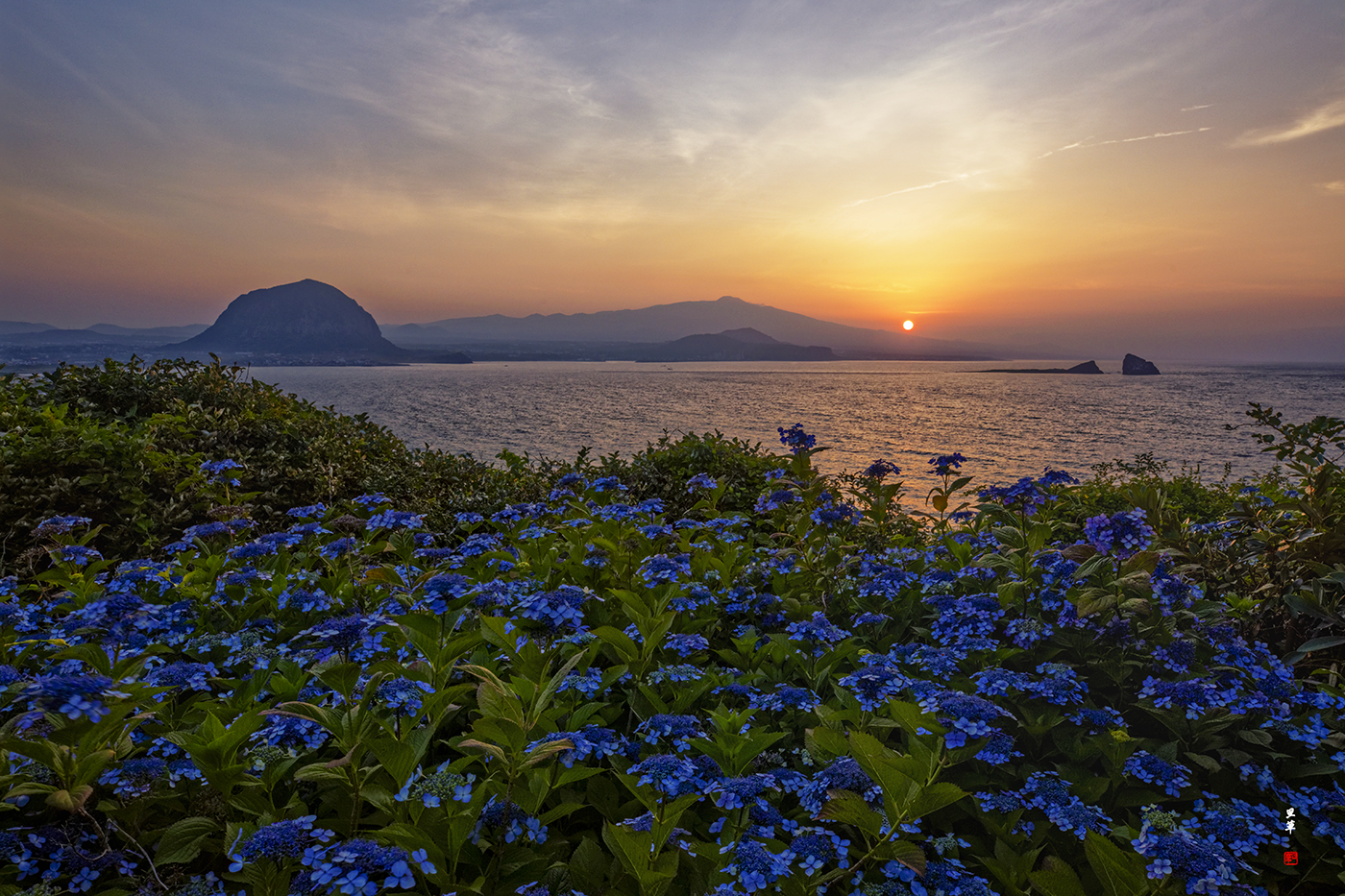2022.06.12(송악산의 아침).jpg