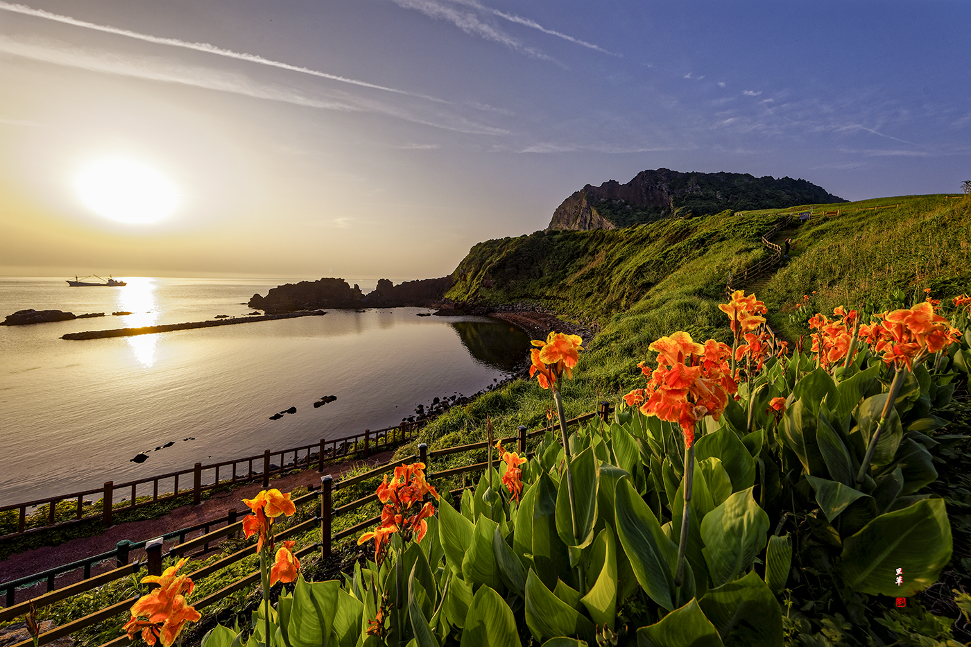 20220710 (일출봉 칸나).jpg