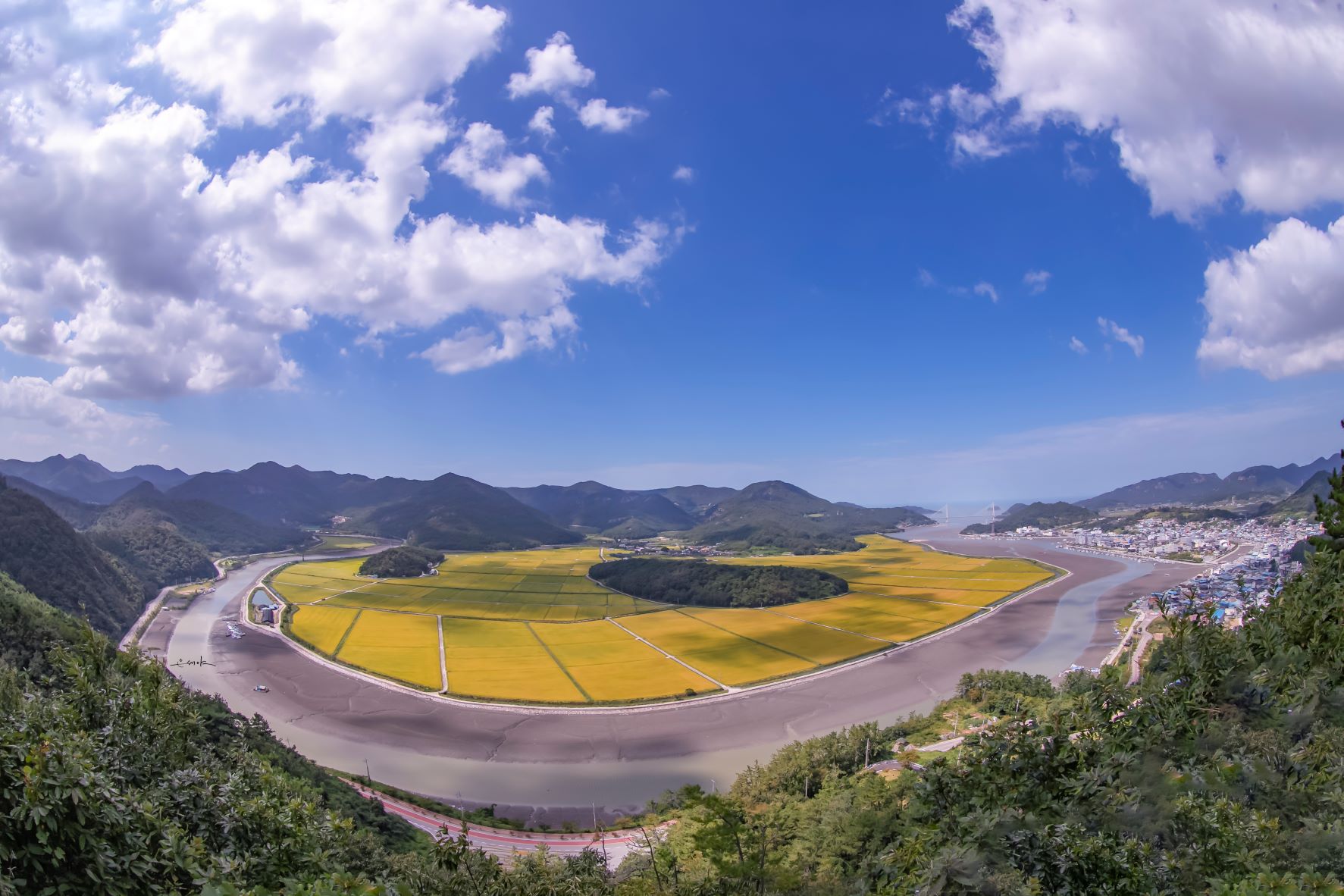 IMG_7929..........................대덕산 정상.jpg