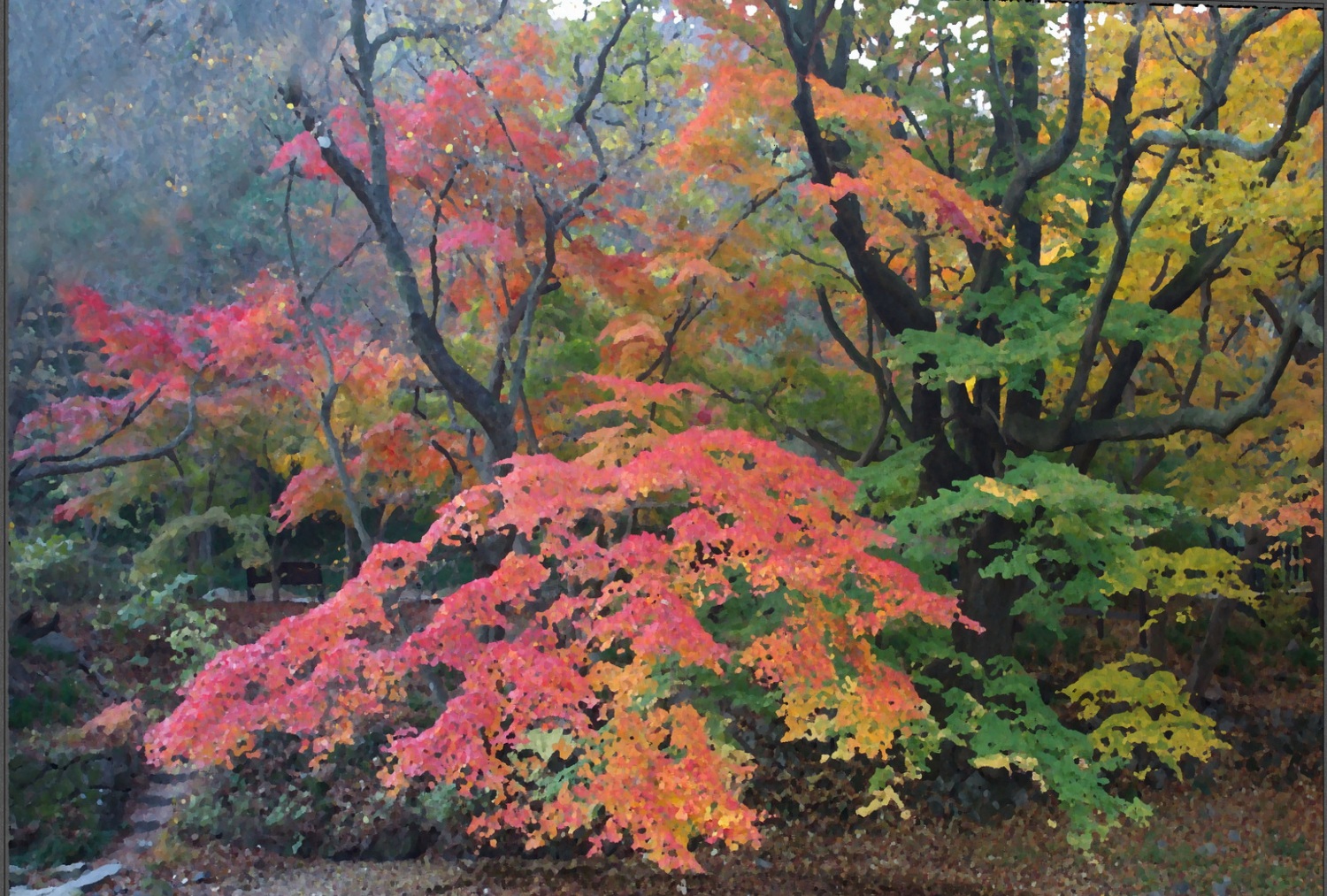 _K7A8856 - 3355 - Copy - Copy.jpg-88.jpg