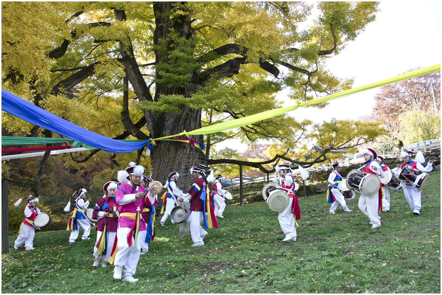 영국사 은행나무 당산제.jpg