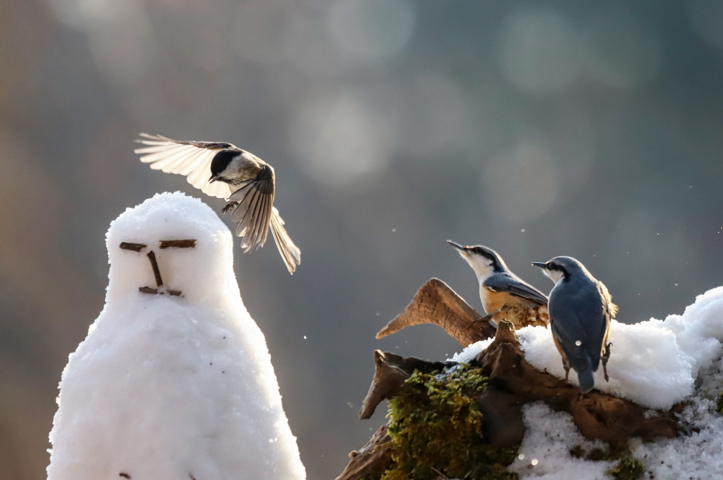 [크기변환]IMG_1186 복사.jpg