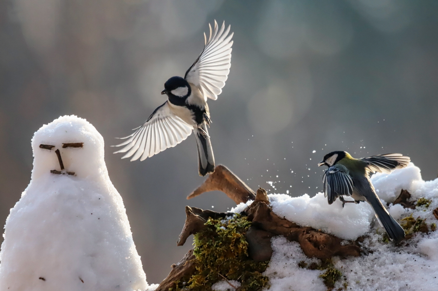 [크기변환]IMG_1382 복사.jpg