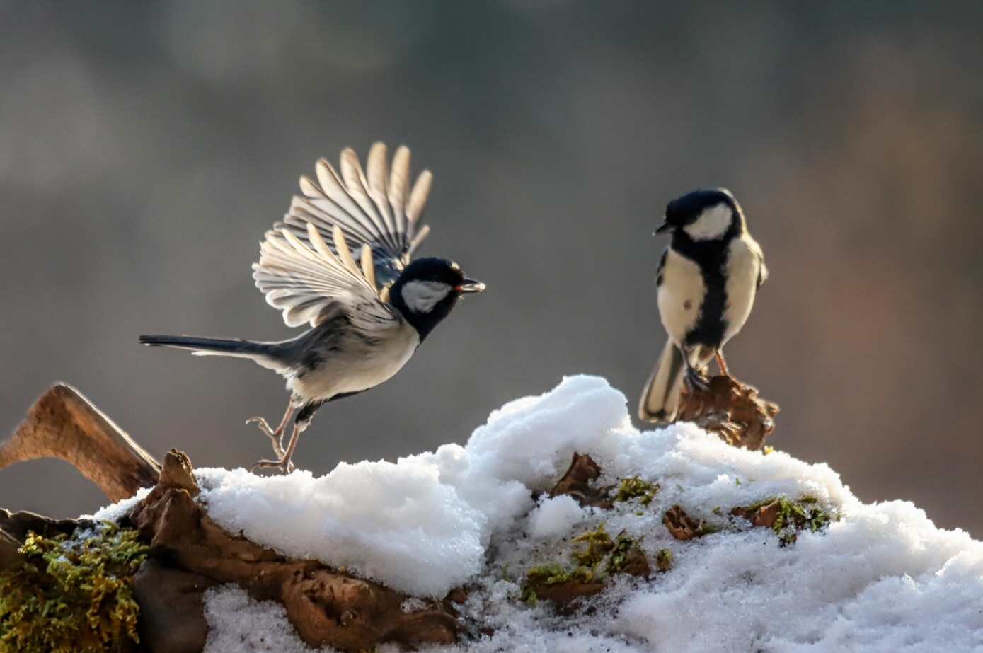 [크기변환]IMG_1789 복사.jpg