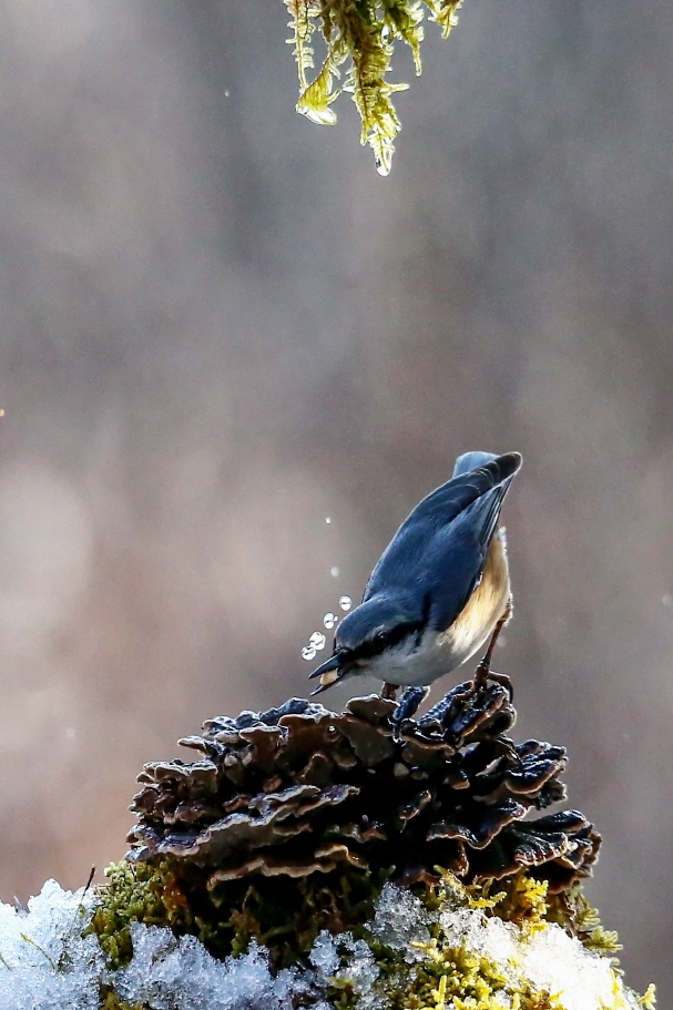 [크기변환]A92V1580 복사.jpg