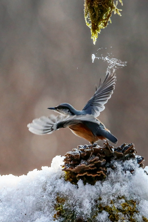 [크기변환]A92V8892 복사.jpg