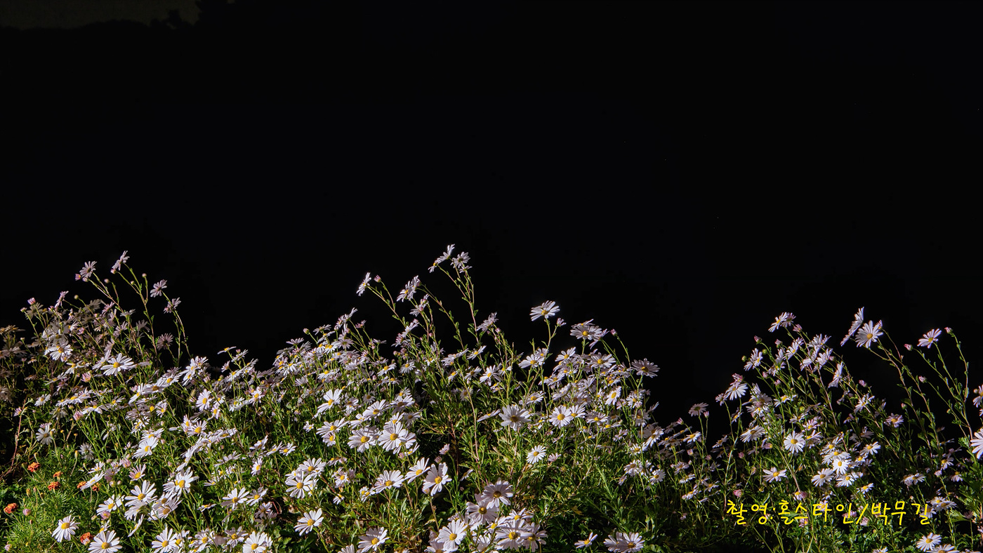 구룡사-2023-10-14_1_1_1.00_02_01_24.스틸 008.jpg