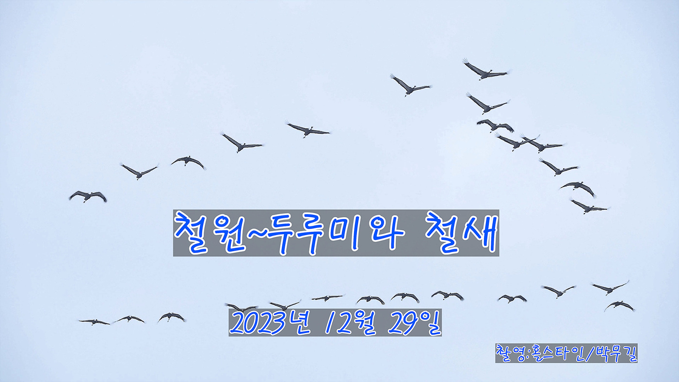 1-_21_1_1.00_01_06_17.스틸 007.jpg