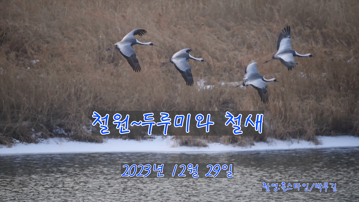 1-_21_1_1.00_01_55_02.스틸 010.jpg