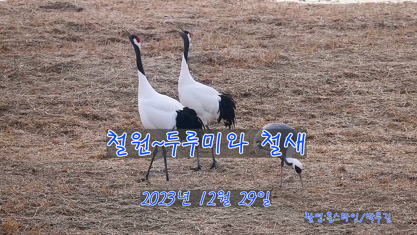 1-_21_1_1.00_08_11_27.스틸 001.jpg