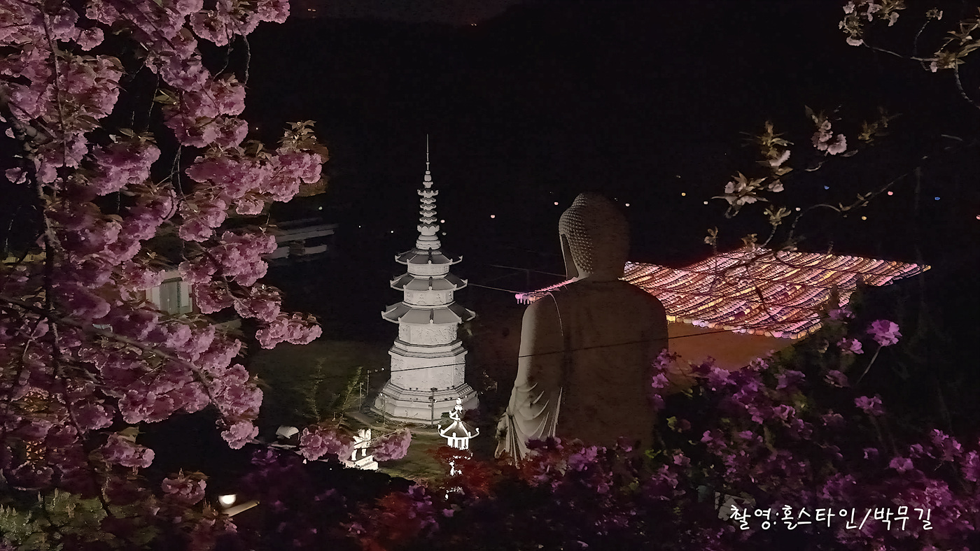 영평사-왕벗꽃_2.00_05_47_25.스틸 020-DeNoiseAI-low-light.jpg