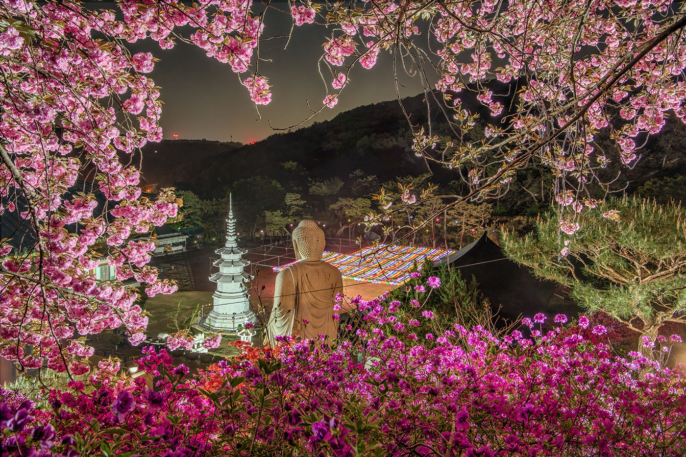 이미지-DSC_8839-43-41- (2).jpg