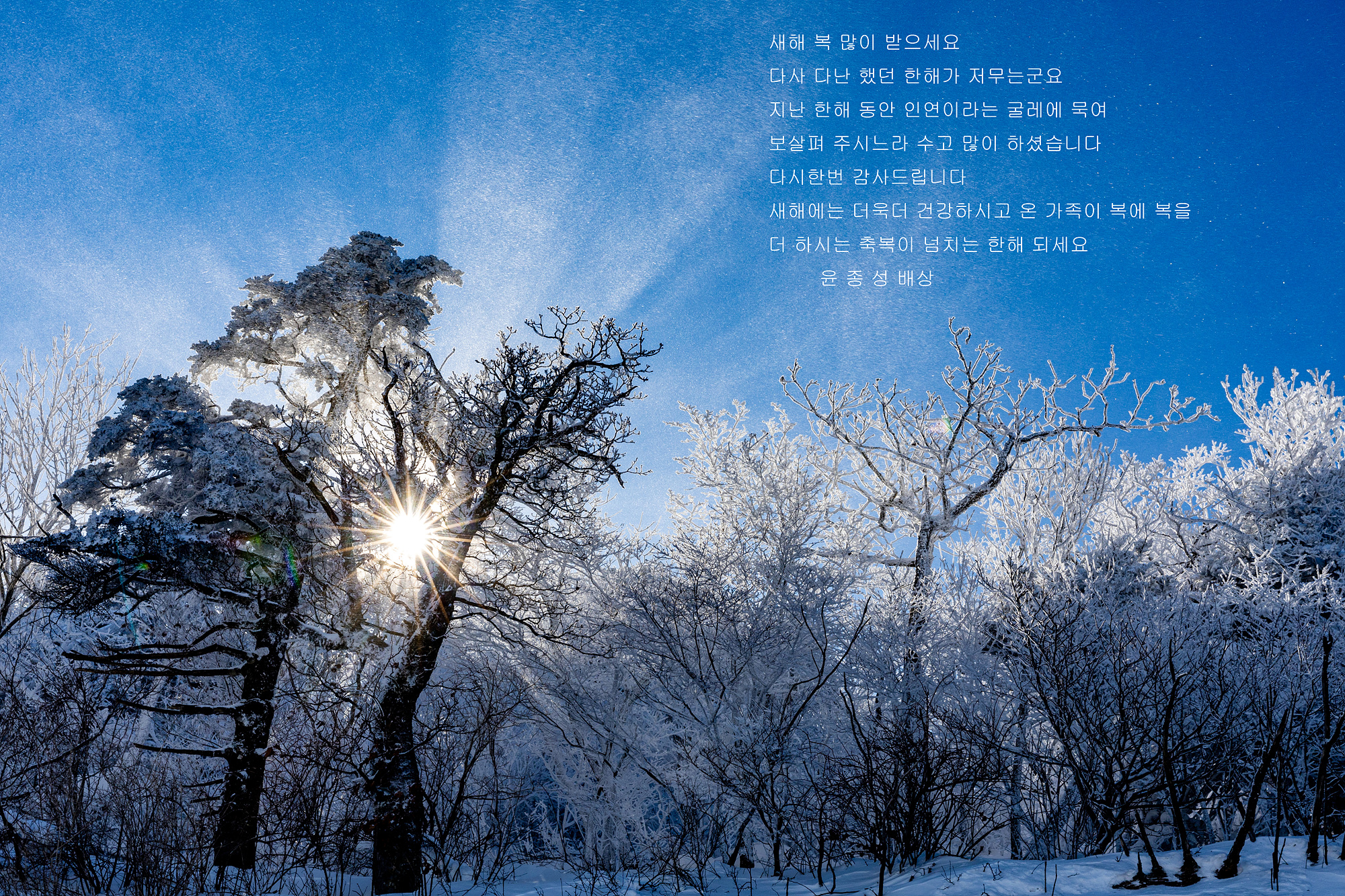 2025,신년인사.jpg