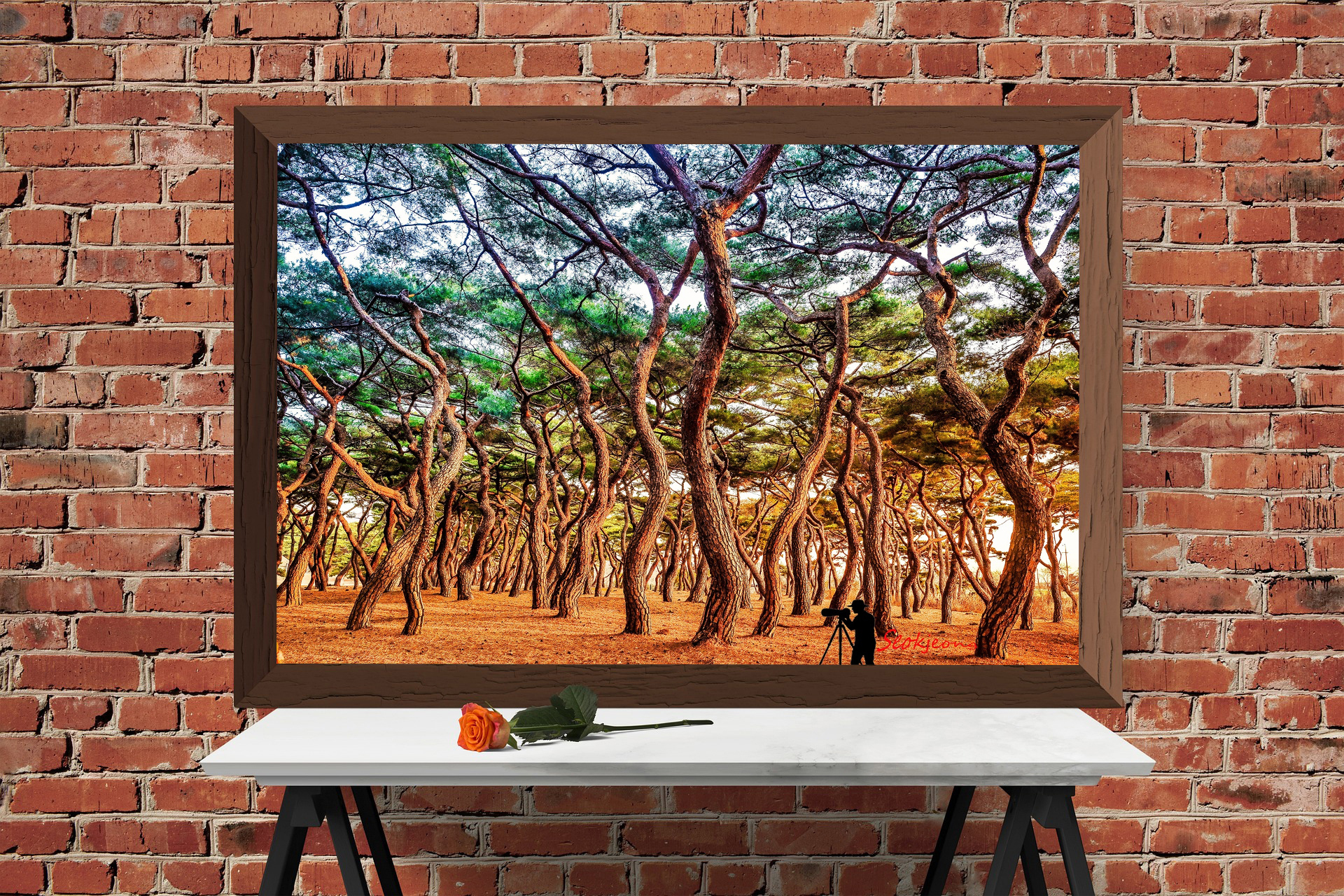 DSC-1227복사 2.jpg