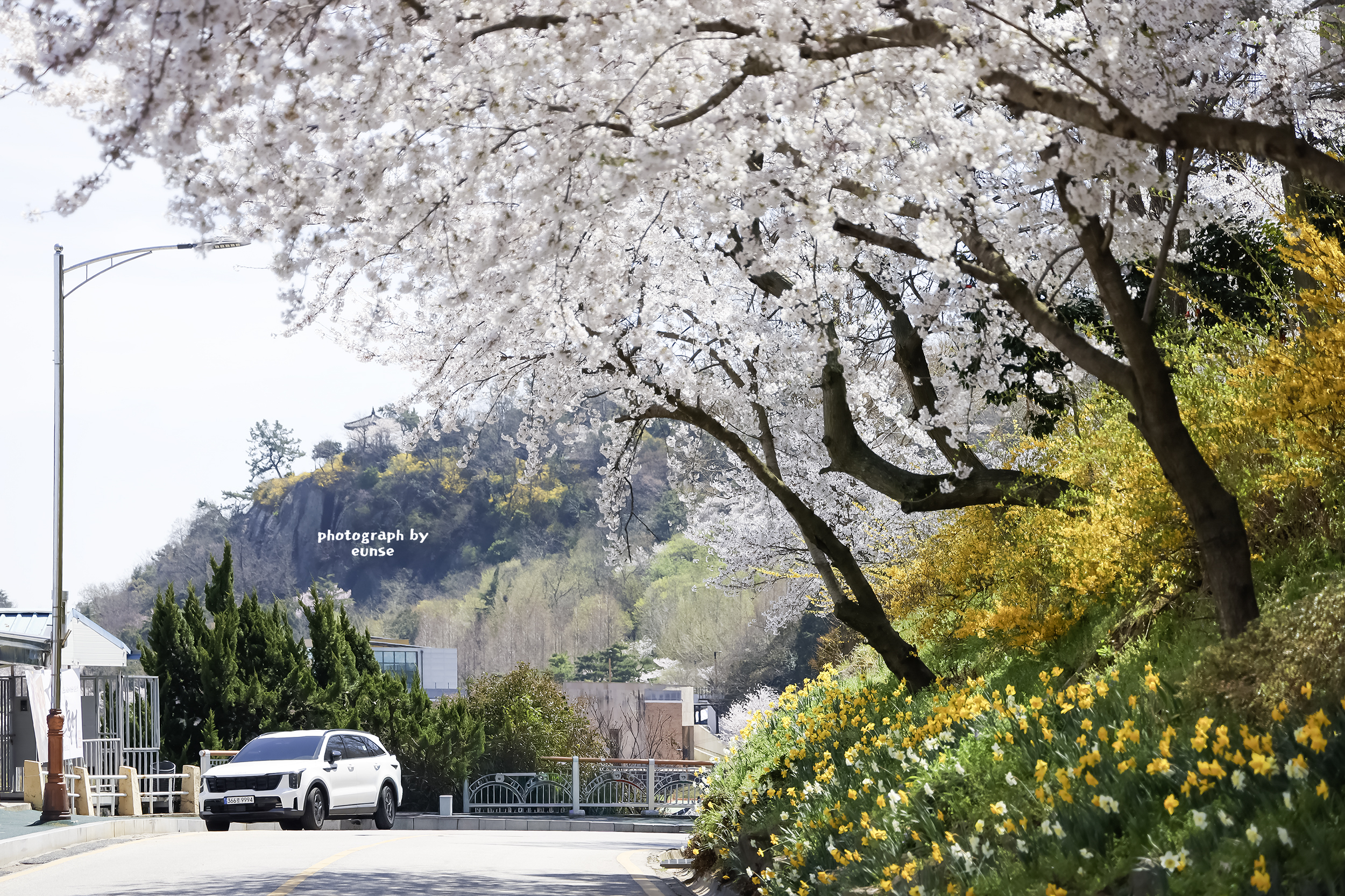 0J7A3166 ........................2500,sp ...............유달산.jpg