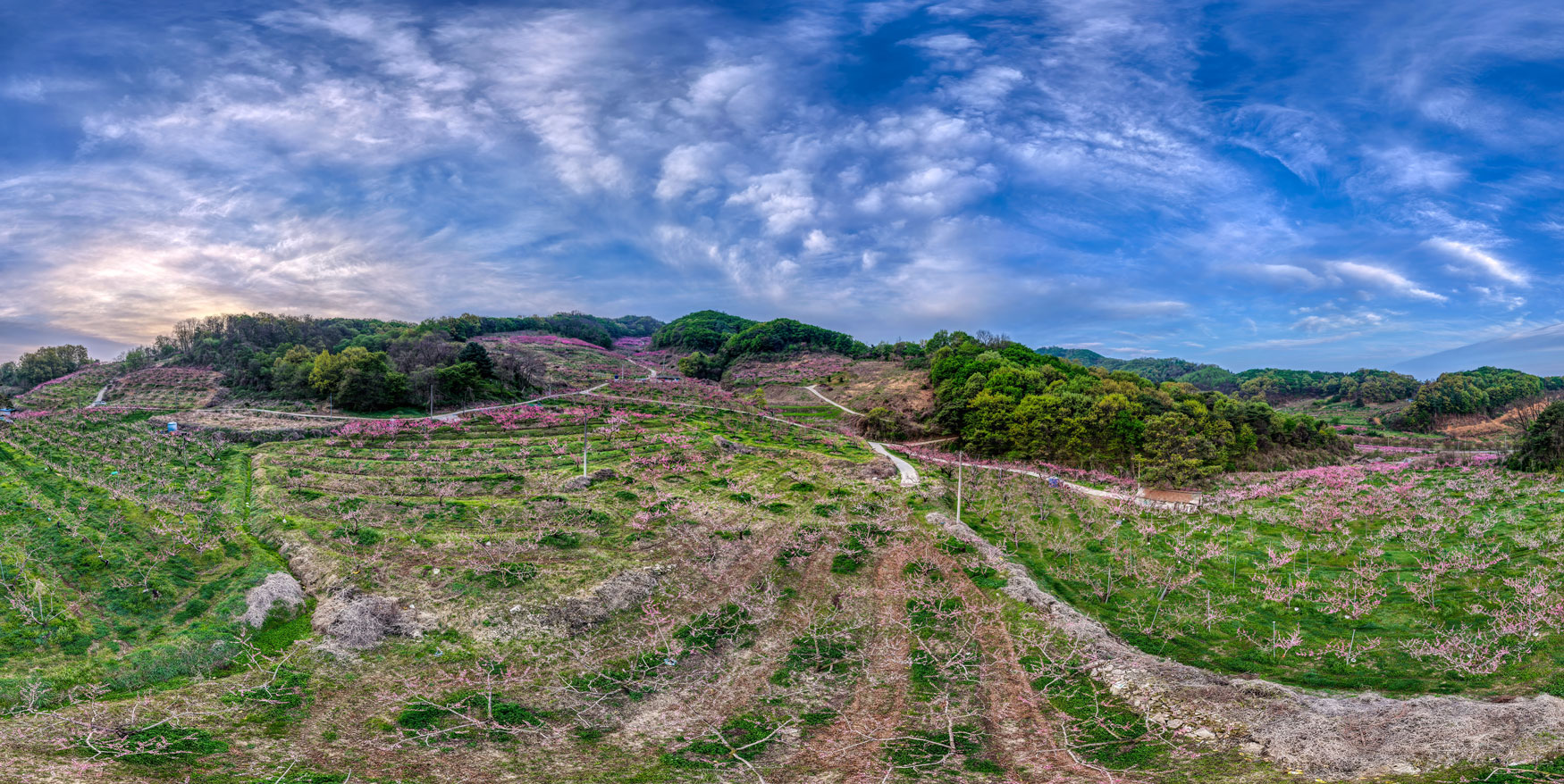 DJI_20260419061351_0129_D.jpg