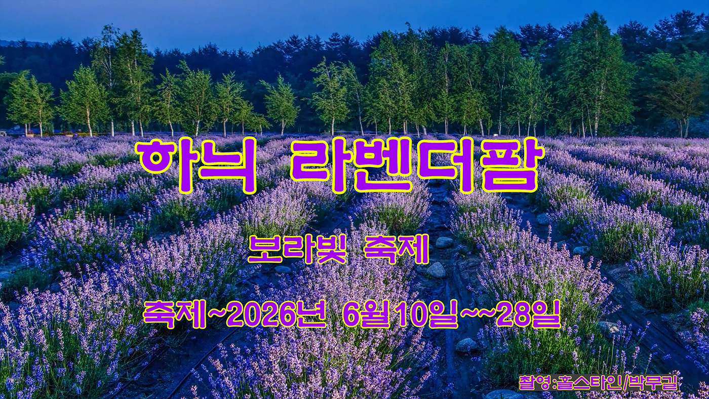 하늬라벤더팜.00_00_26_12.스틸 005.jpg