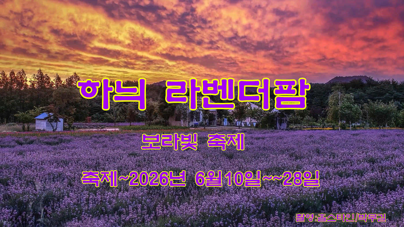 하늬라벤더팜.00_08_38_14.스틸 002.jpg