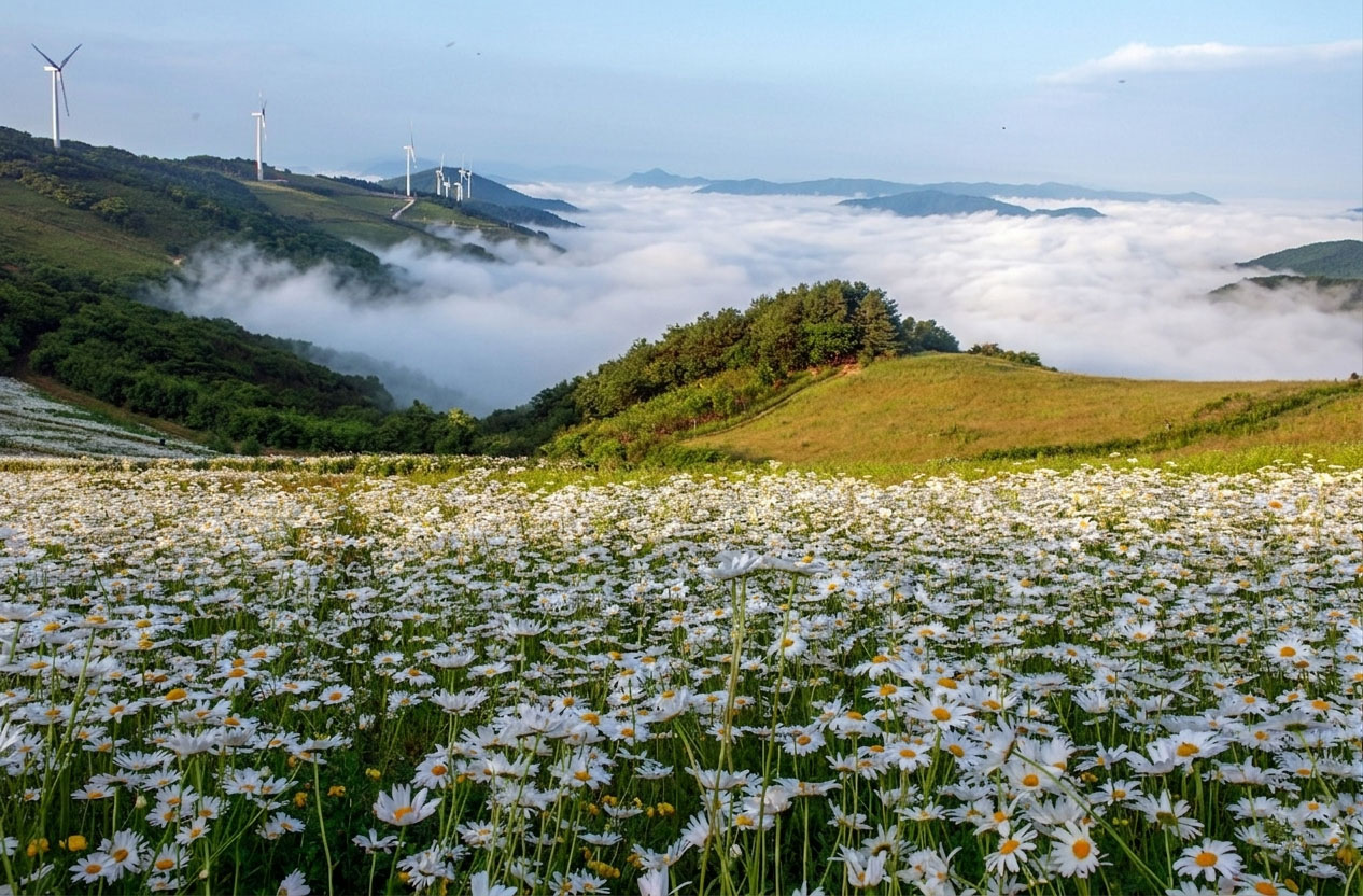 청옥산-2.jpg